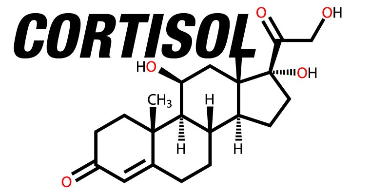 Όνομα: cortisol.jpg Εμφανίσεις: 746 Μέγεθος: 41,8 KB