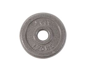 Metal Weight Plate 1,25 kg (37102) (X-Fit)