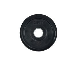 Rubber Weight Plate 0,5 kg  (38201) (X-Fit)